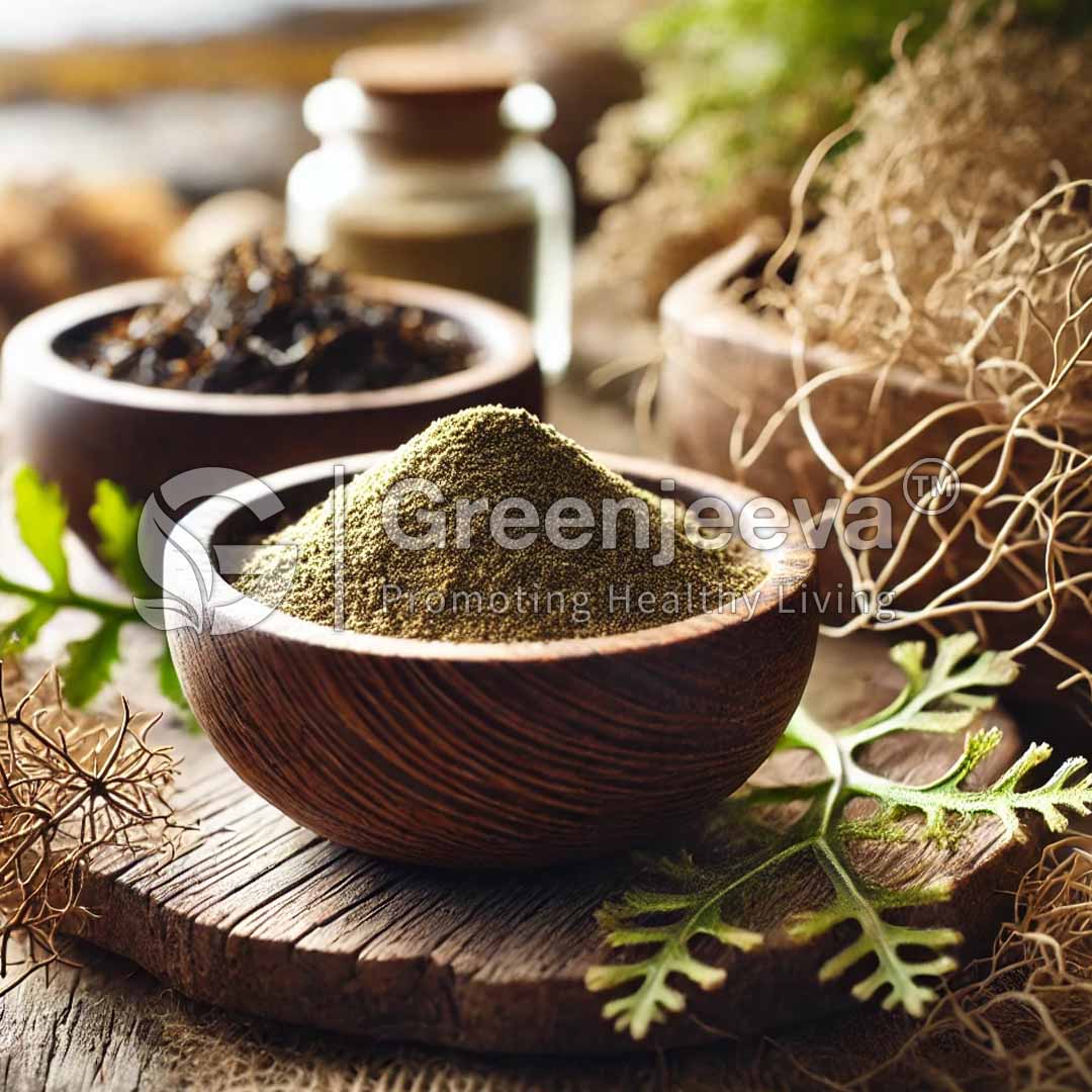 A wooden bowl filled with Irish Moss Powder , surrounded by jars and other herbs, highlighting natural health and wellness themes.