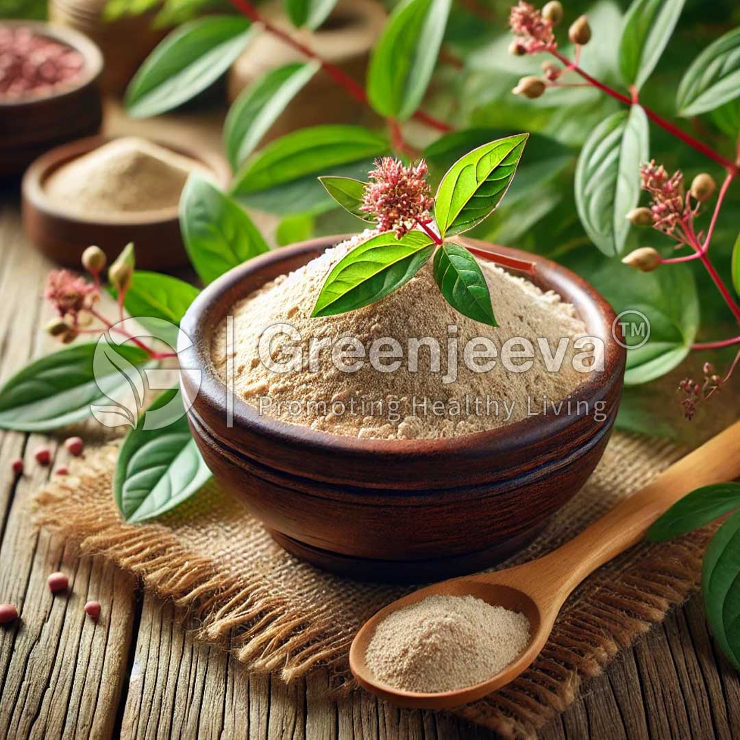 Polygonum Cuspidatum Extract Powder 50% Resveratrol, HPLC
