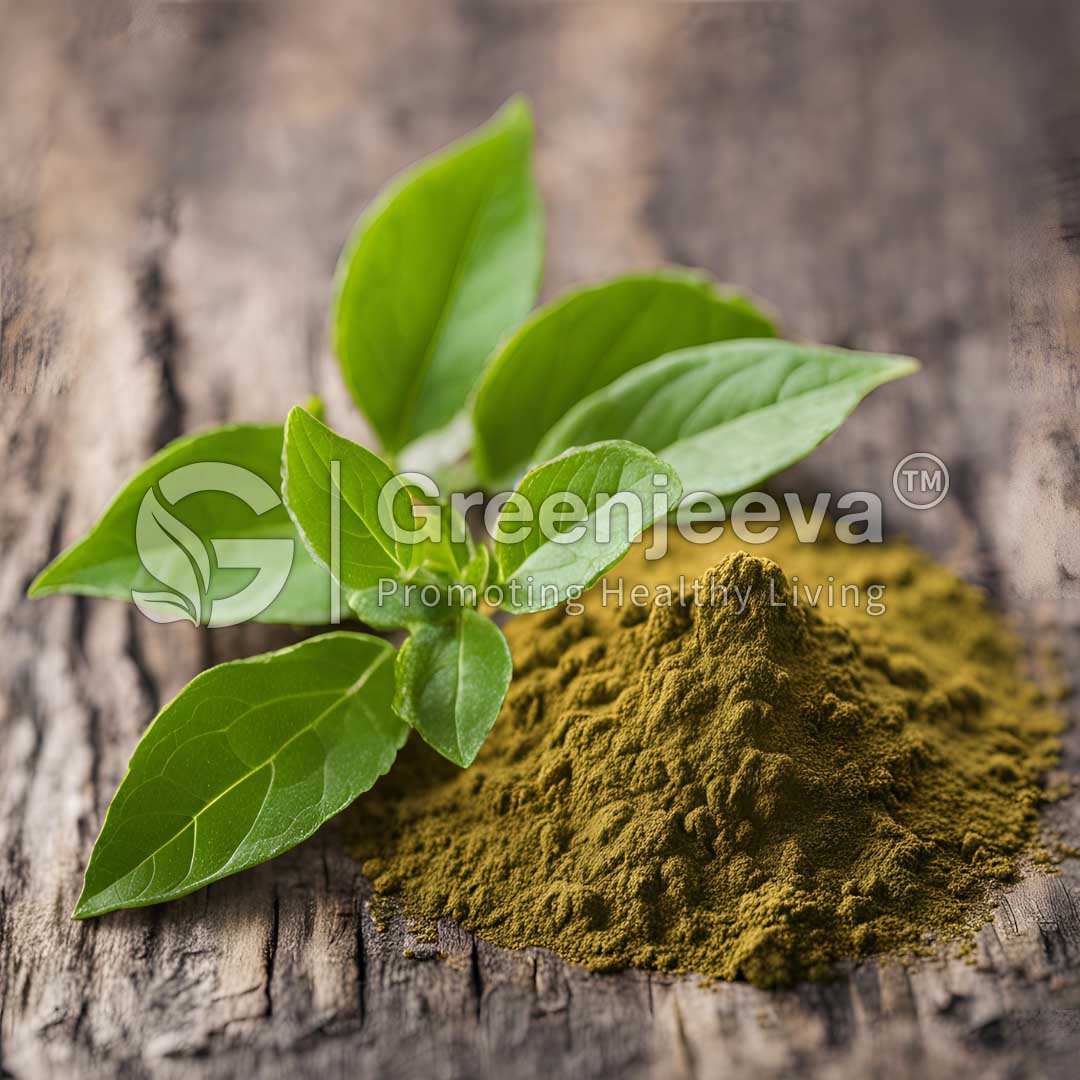 Fresh green leaves beside a mound of Gymnema sylvestre Extract Powder 25% Gymnemic Acid, Gravimetry on a rustic wooden surface, highlighting natural ingredients.
