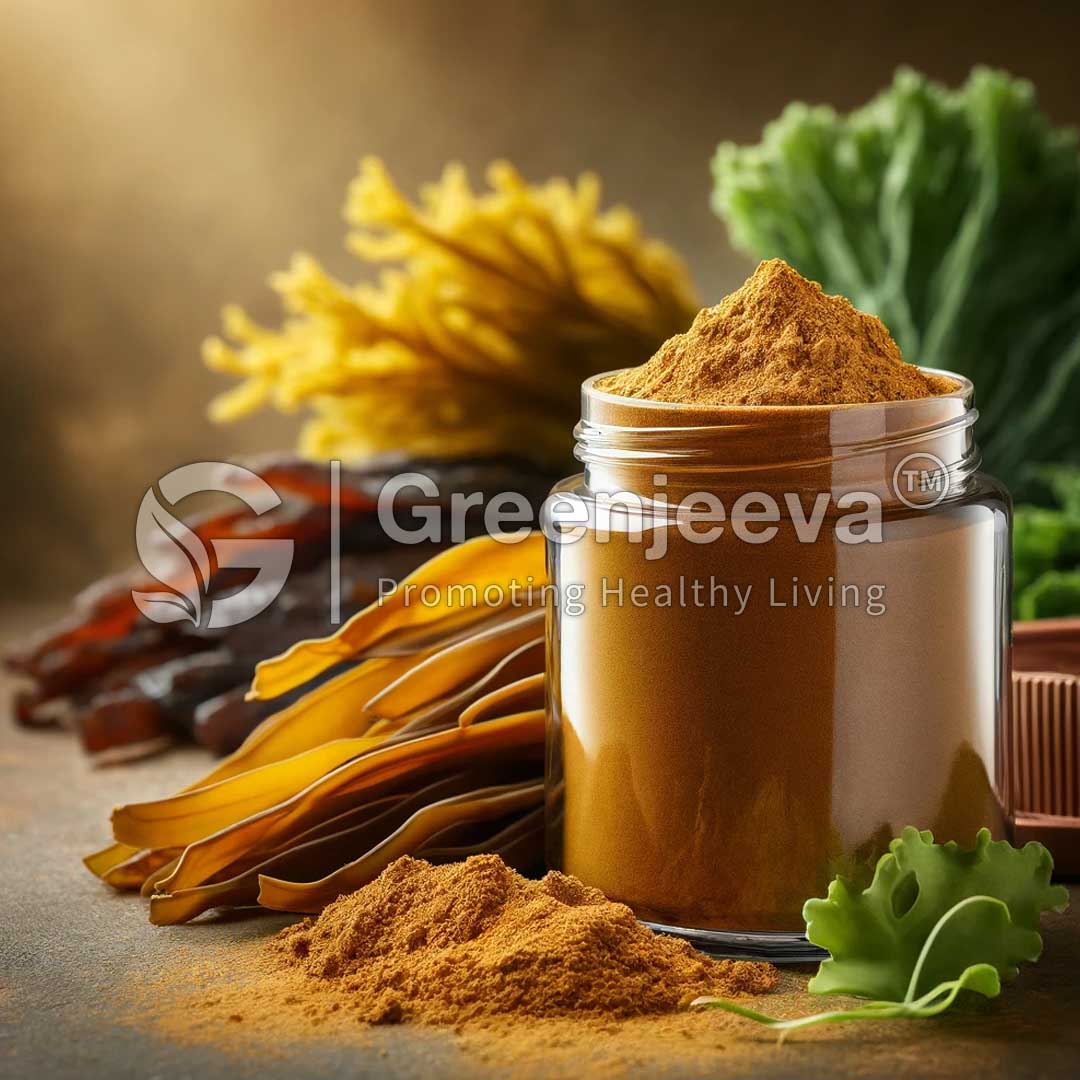Glass jar filled with Kelp Extract Powder, surrounded by dried Kelp.
