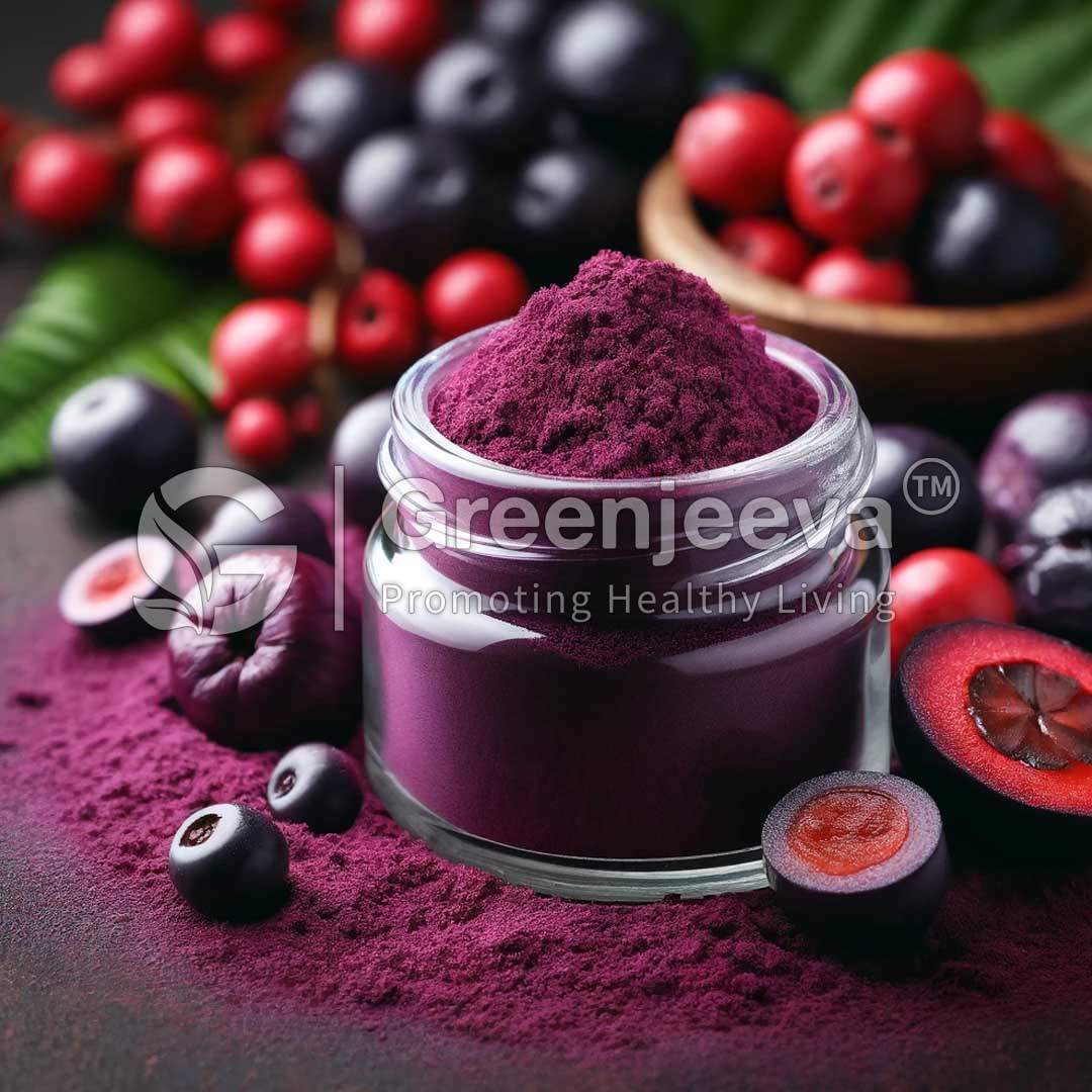 Acai Berry Extract Powder 10:1