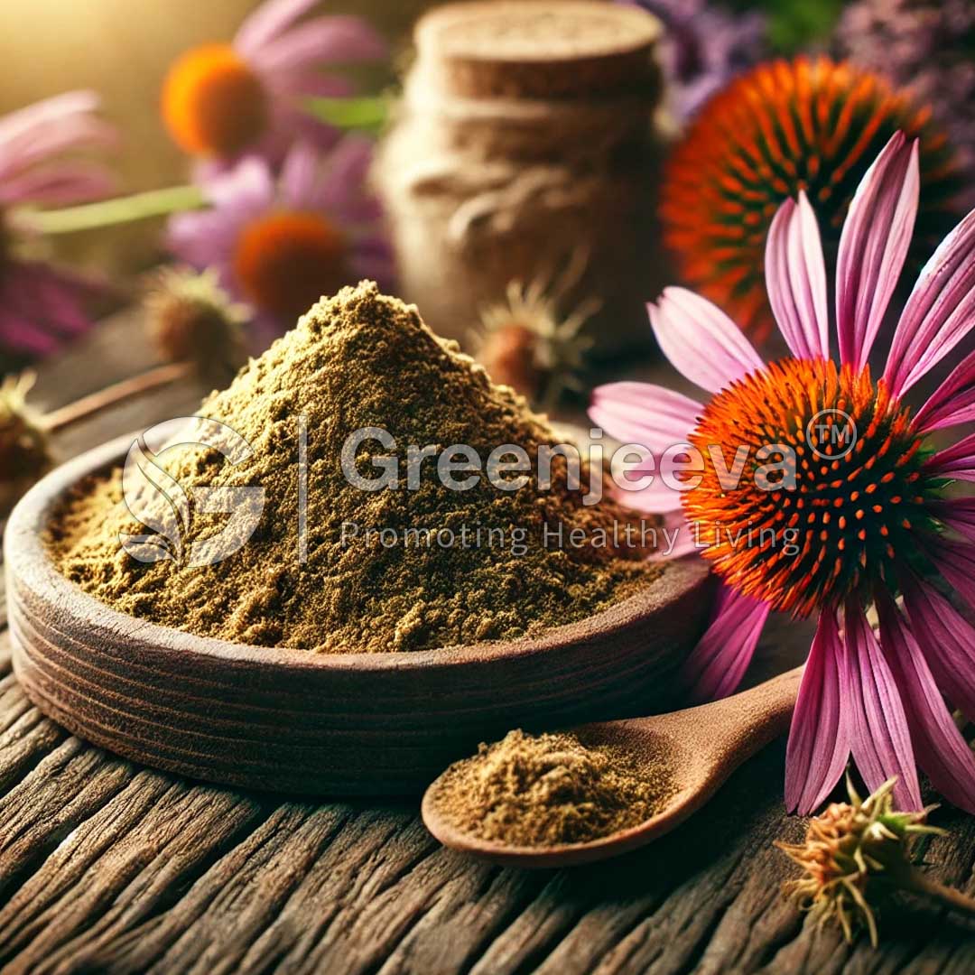 Echinacea Purpurea Extract Powder 4:1