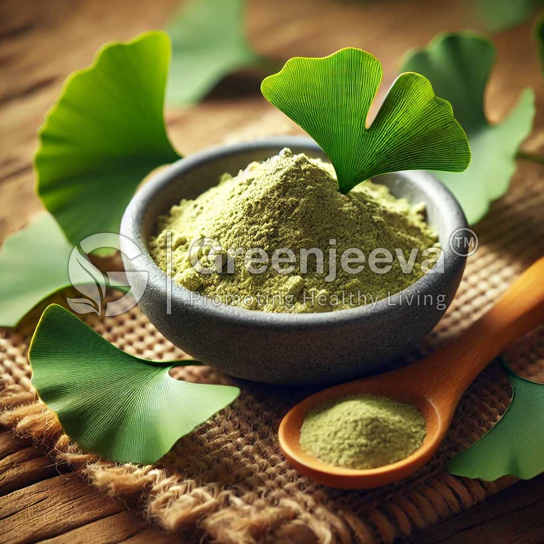 Gingko Extract Powder 6:1