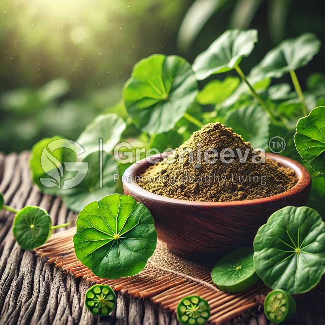 Gotu Kola Extract Powder 10:1