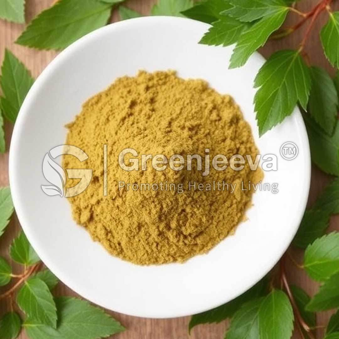 A small white bowl filled with Buchu Leaf Extract Powder 10:1, surrounded by fresh green leaves on a wooden surface.