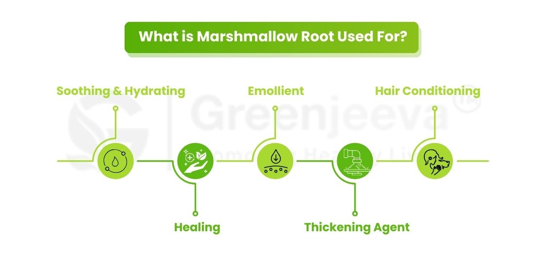 Marshmallow Root Powder: A Natural Ingredient for Skincare 