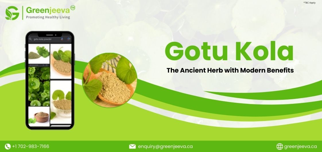 Gotu Kola - An Indian Ingredient in Spotlight. Best Ingredient in Skincare and Cognitive Health.