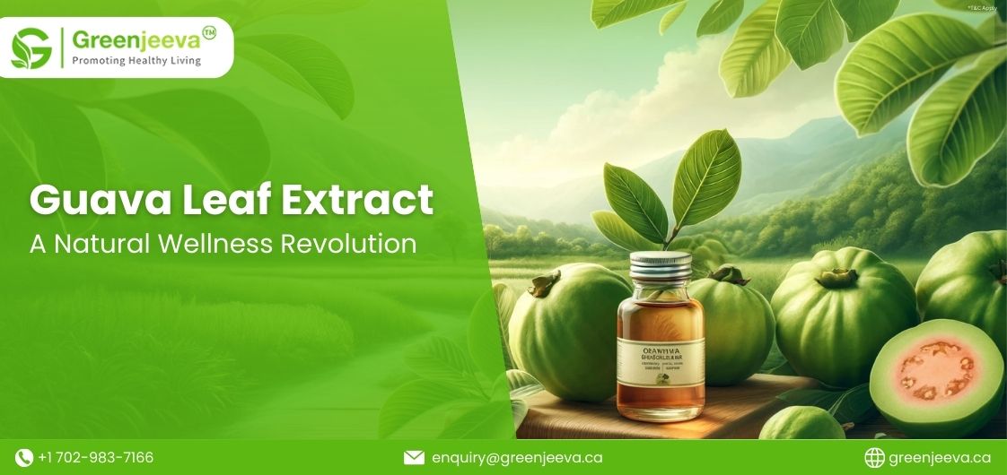 Guava Leaf Extract for health and wellness