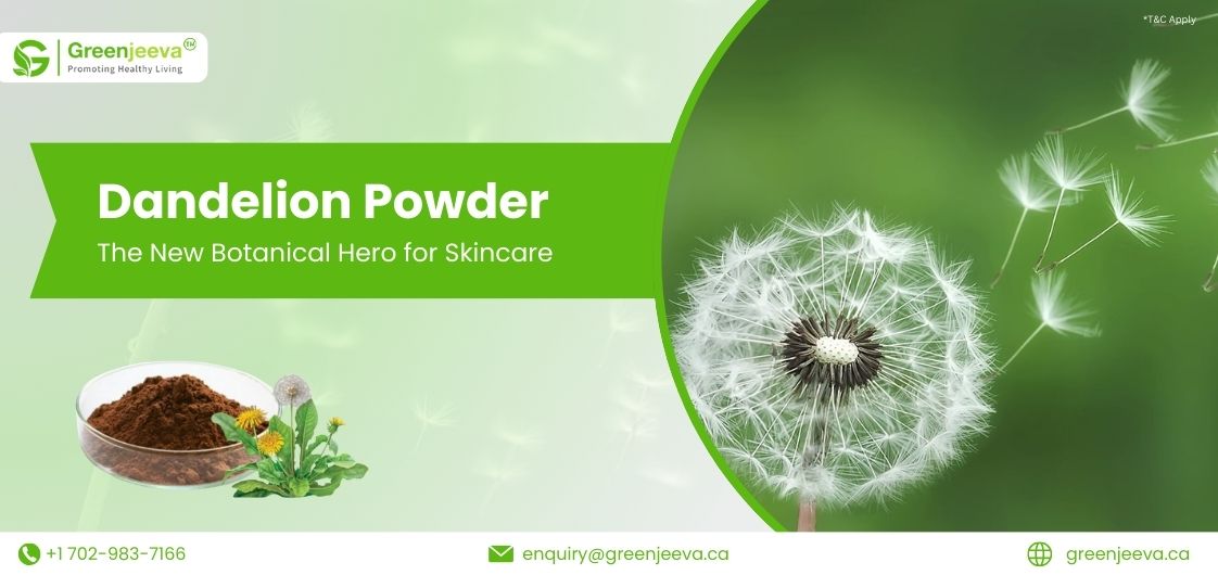 Dandelion Powder in Personal Care Formulations