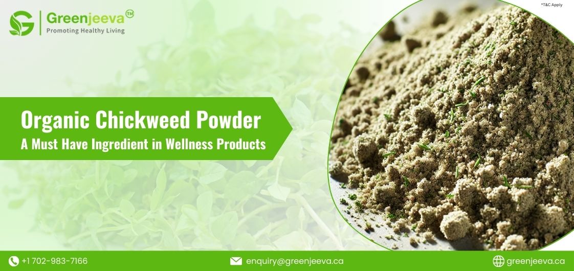 Learn about organic chickweed powder health benefits, its popularity, and how wellness brands can leverage this ingredient for growth.