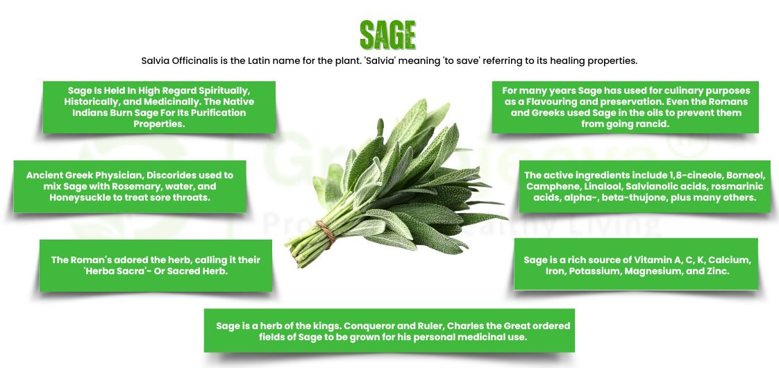 Sage Leaf Powder