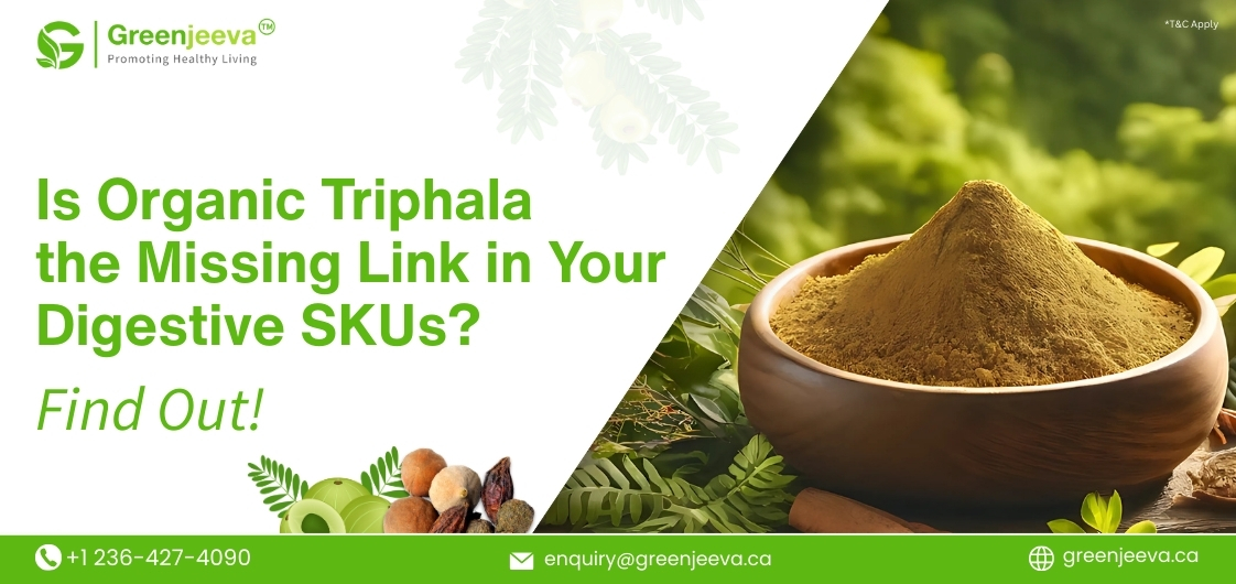 A bowl of organic Triphala powder surrounded by green leaves and herbs, promoting digestive health and wellness insights.