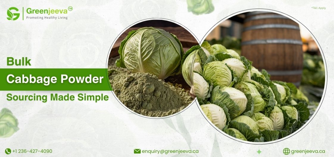 Image promoting Greenjeeva's bulk cabbage powder, featuring fresh cabbages and powder in circular sections, emphasizing healthy living.