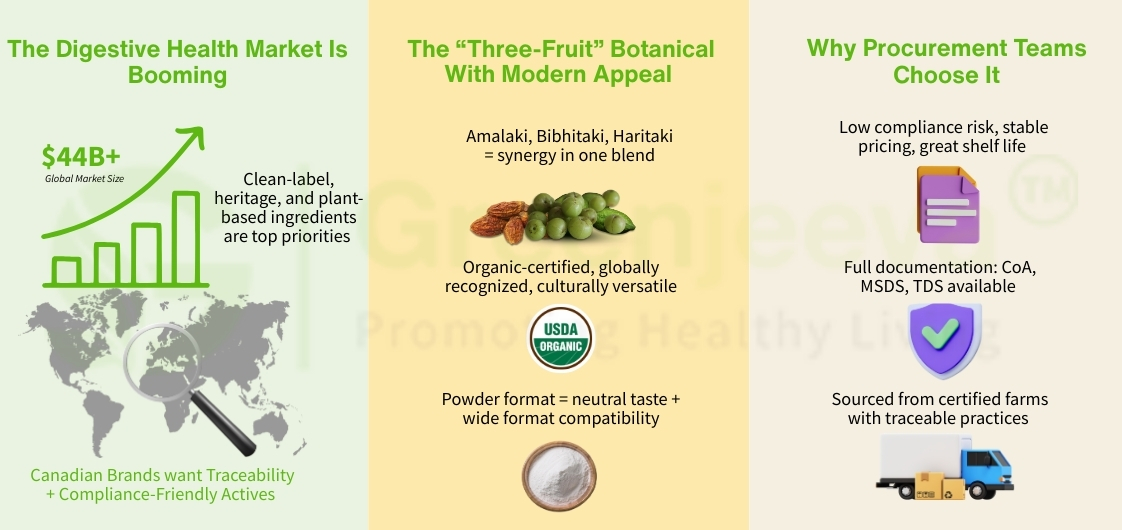 Infographic highlighting the booming $44B digestive health market, benefits of a “three-fruit” botanical, and procurement advantages.