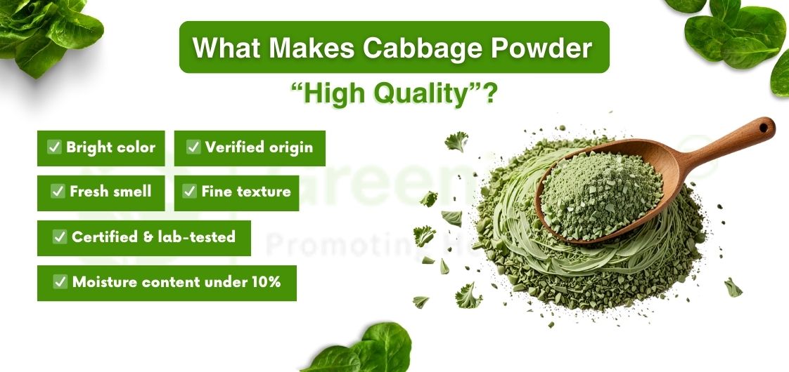 High-quality cabbage powder with a bright color, fresh smell, fine texture, lab certification, and moisture under 10%.