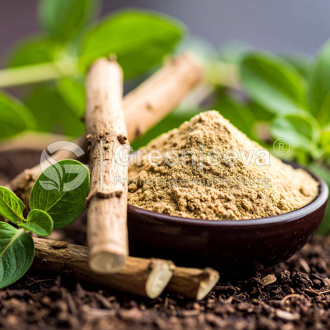 A bowl of fine Organic Ashwagandha Root Extract Powder 4:1 sits among green leaves and sticks, emphasizing natural ingredients and earthy tones.
