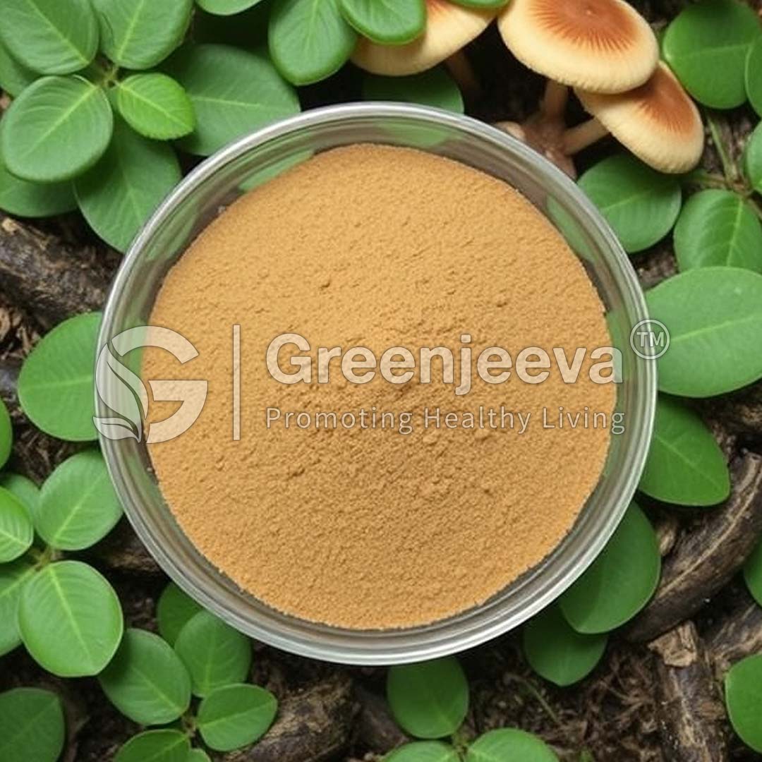 Reishi Mushroom Extract Powder 20% Polysaccharide