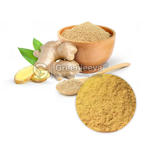 A wooden bowl filled with Ginger Extract powder 5% gingerol, surrounded by fresh ginger root and green leaves, with a spoon nearby.