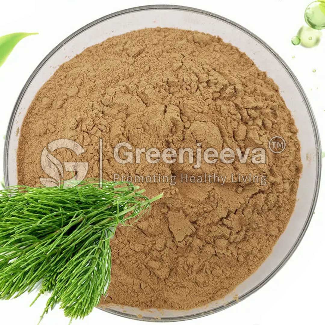 A clear bowl filled with fine Horsetail Extract powder, accompanied by fresh green herbs beside it, suggesting a natural health product.