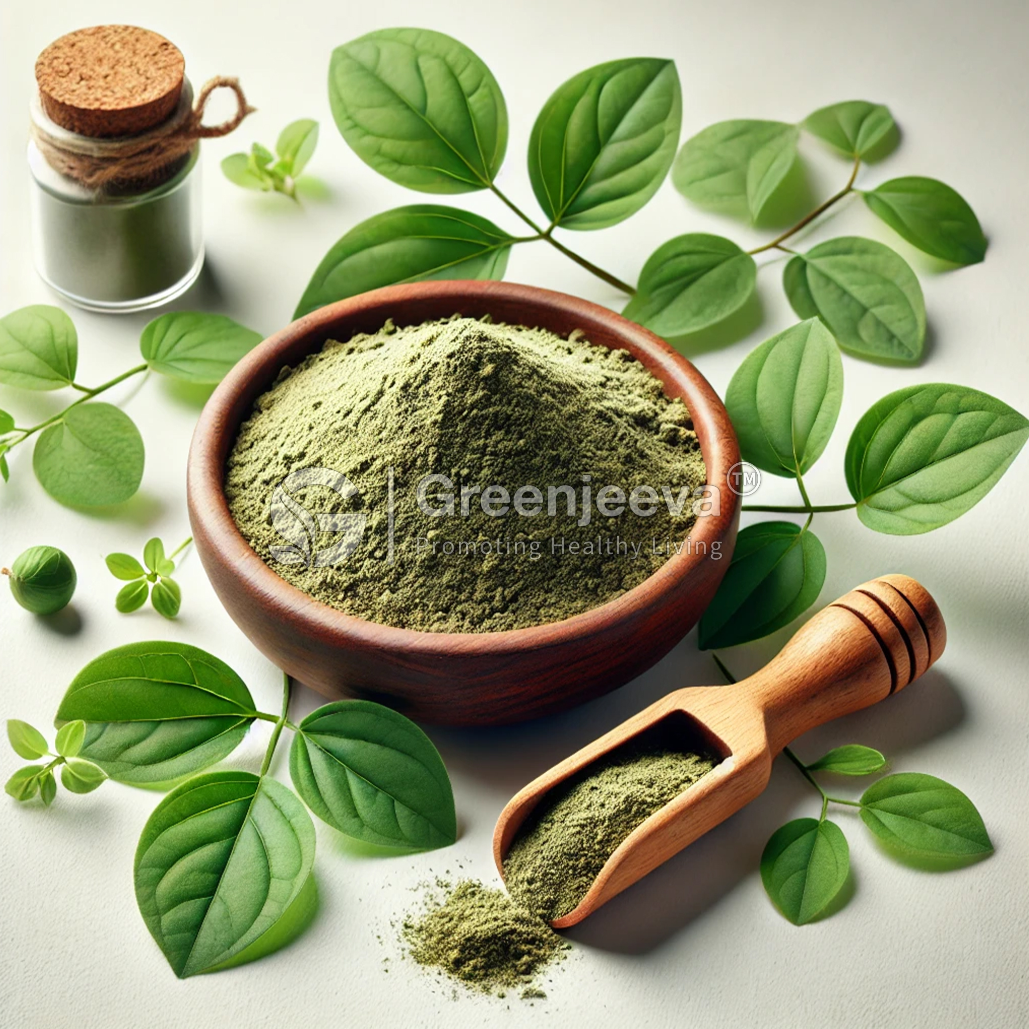 Houttuynia cordata Powder