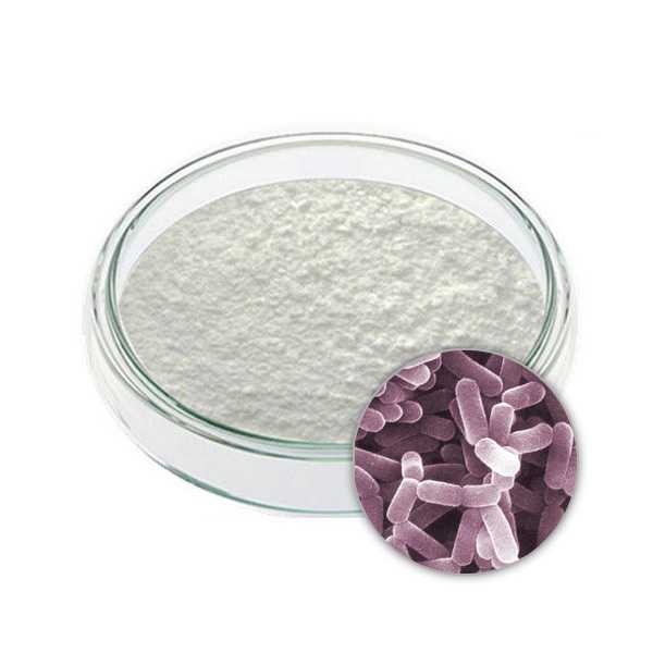 A glass dish containing a fine white powder, with an inset image of rod-shaped bacteria magnified.