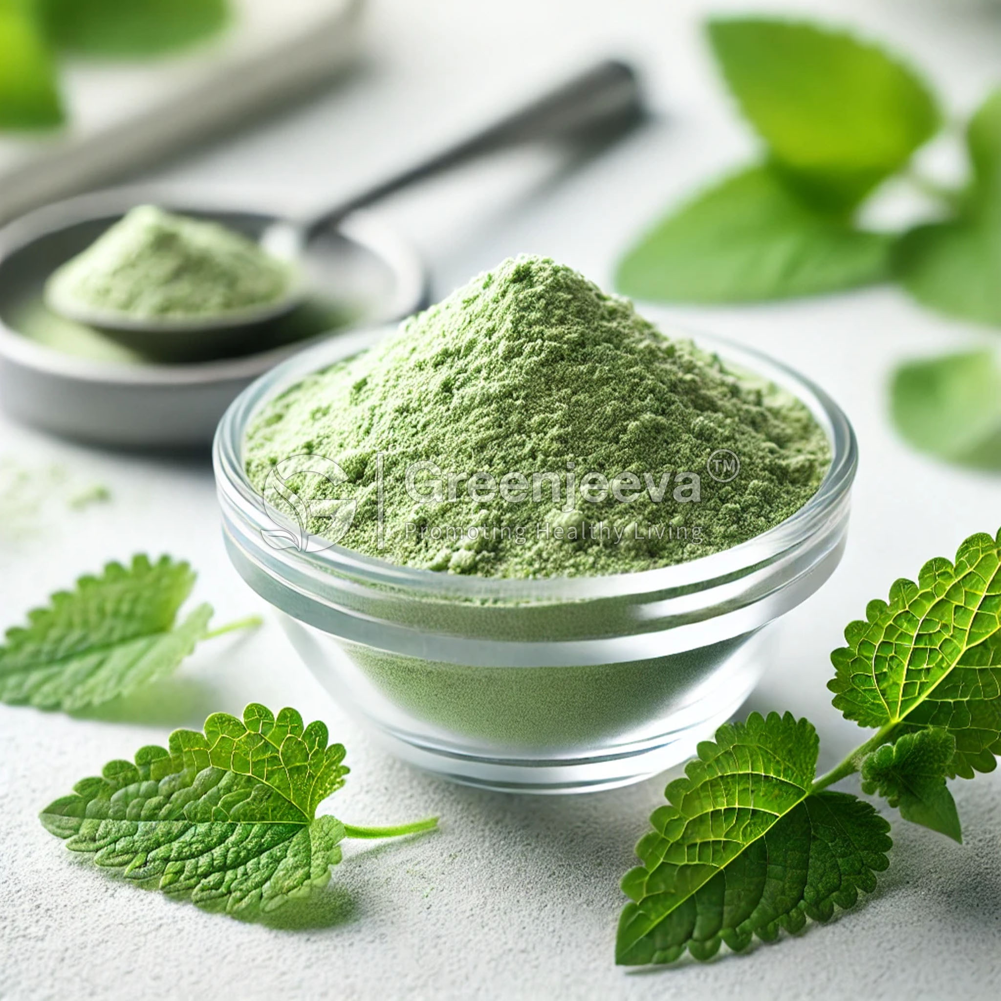 Lemon Balm Extract Powder 10:1