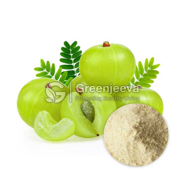 A cluster of Organic Amla Fruit Extract Powder 30% Total vitamin C, HPLC with a leaf backdrop and a circular inset of amla powder on a white background.