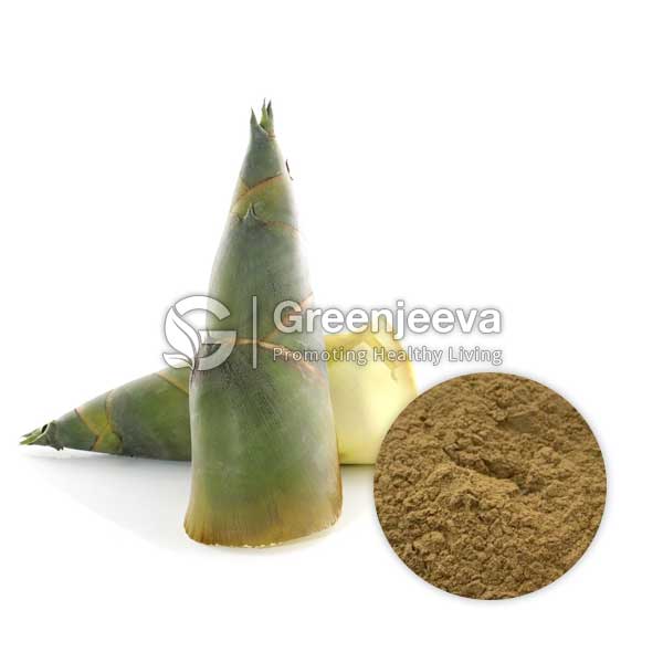 Fresh Organic Bamboo Shoot Powder and a bowl of powdered bamboo, highlighting their health benefits and culinary uses.
