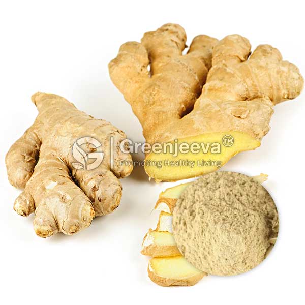 Organic Ginger Extract Powder 2% Gingerol with cut slices, alongside a circular inset of ginger powder, on a white background.