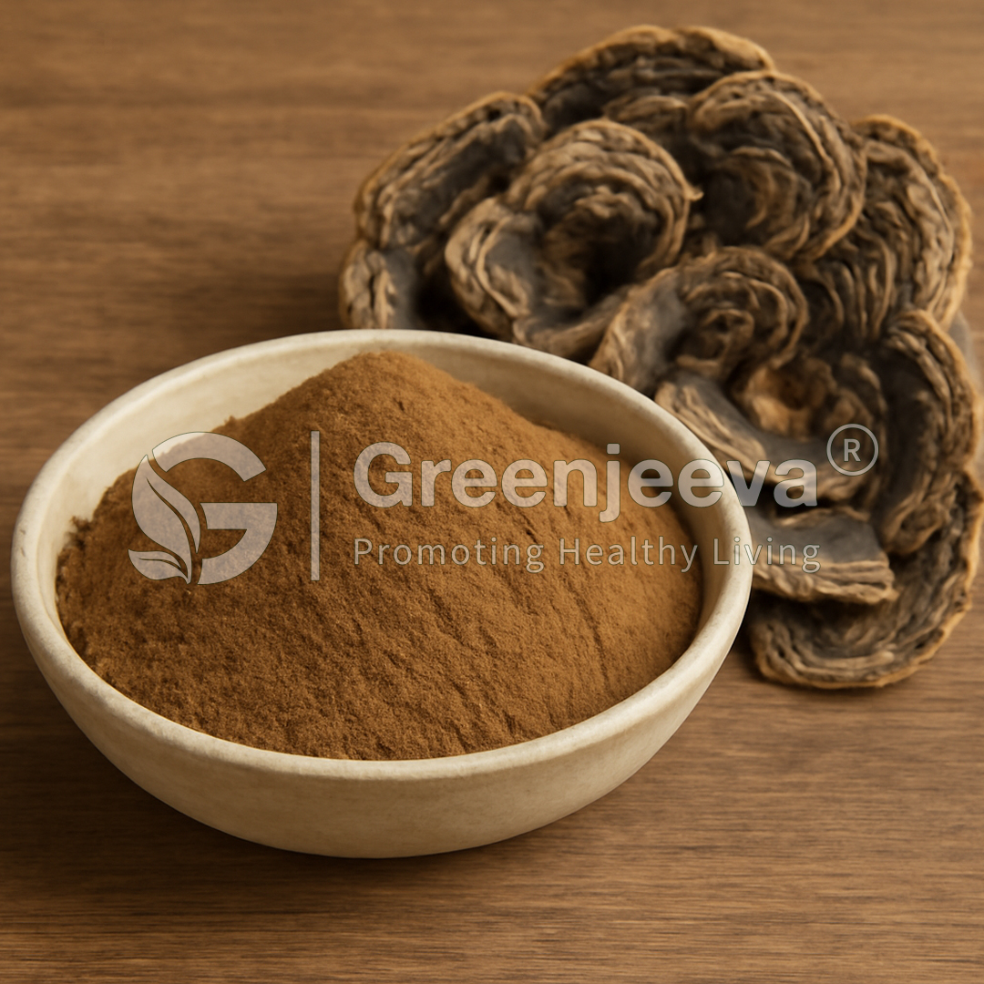 Organic Turkey Tail Mushroom Extract Powder 10:1