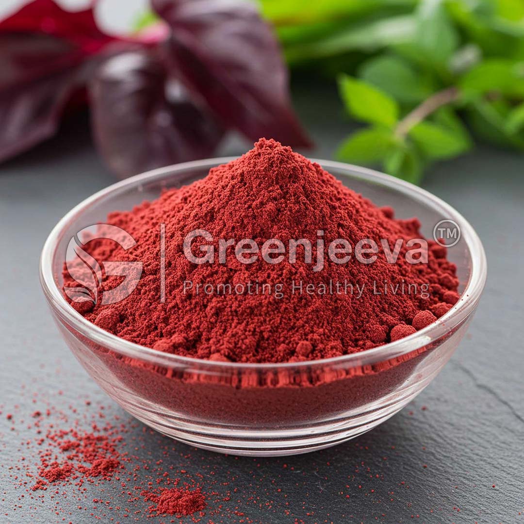 A clear bowl filled with Red Spinach Extract Powder, surrounded by green leaves and dark purple foliage, evoking a natural and healthy vibe.