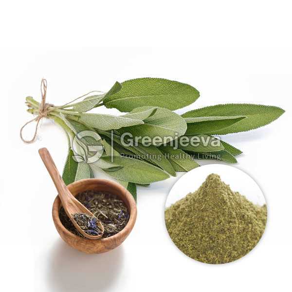 Sage Leaf Extract Powder 4:1