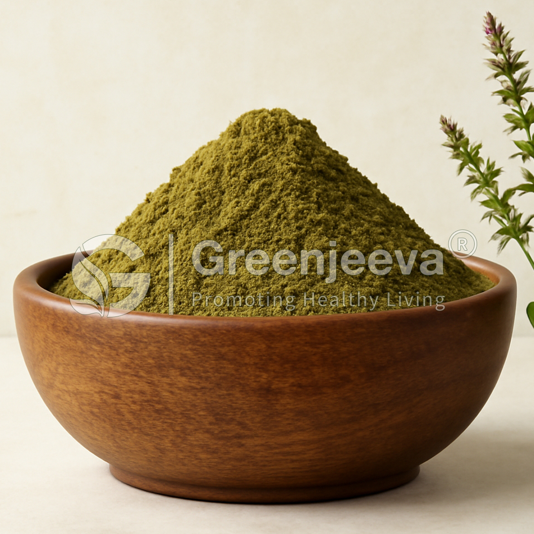 A wooden bowl filled with Schizonepeta tenuifolia Powder powder, accompanied by a small plant, set against a neutral background.