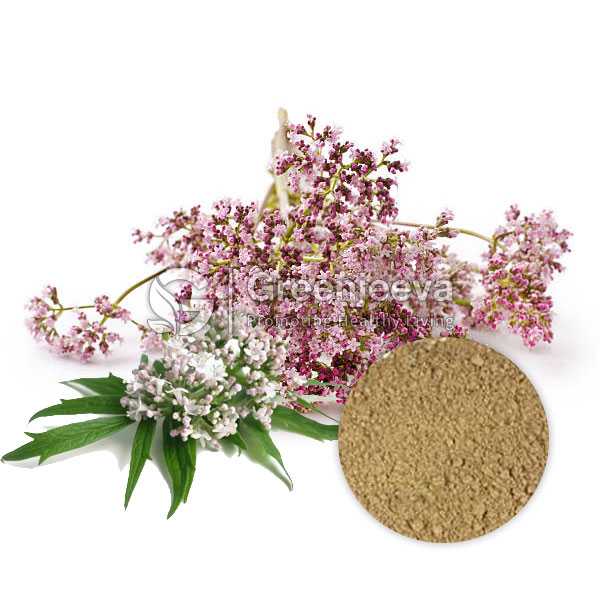 A cluster of delicate pink flowers and green leaves, accompanied by a circular mound of brown powder on a white background.