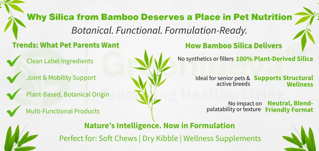 Infographic on bamboo silica, highlighting its benefits in pet nutrition, clean ingredients, and its suitability for various pet products.