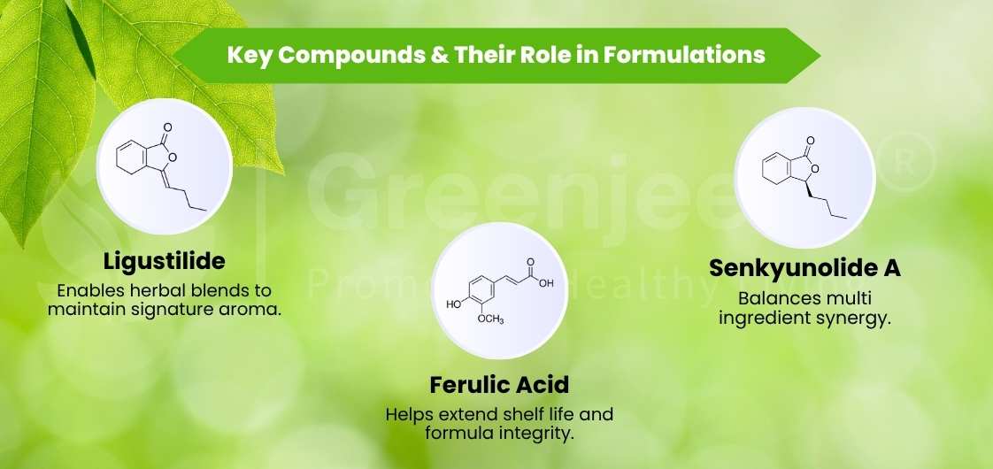Infographic featuring key compounds: Ligustilide for aroma, Ferulic Acid for shelf life, and Senkyunolide A for ingredient synergy.