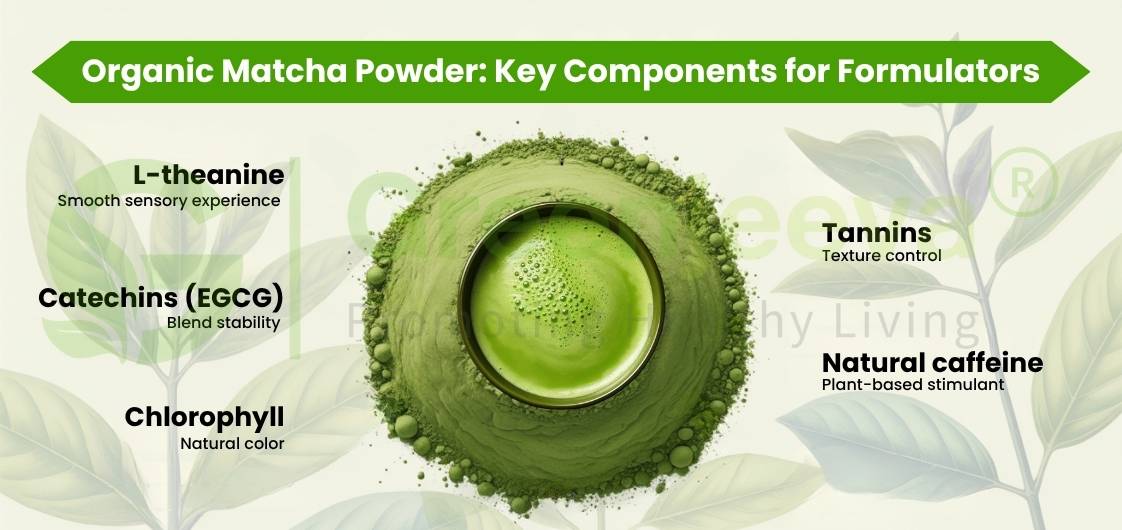 Infographic showing key components of organic matcha powder: L-theanine, catechins, chlorophyll, tannins, and natural caffeine.