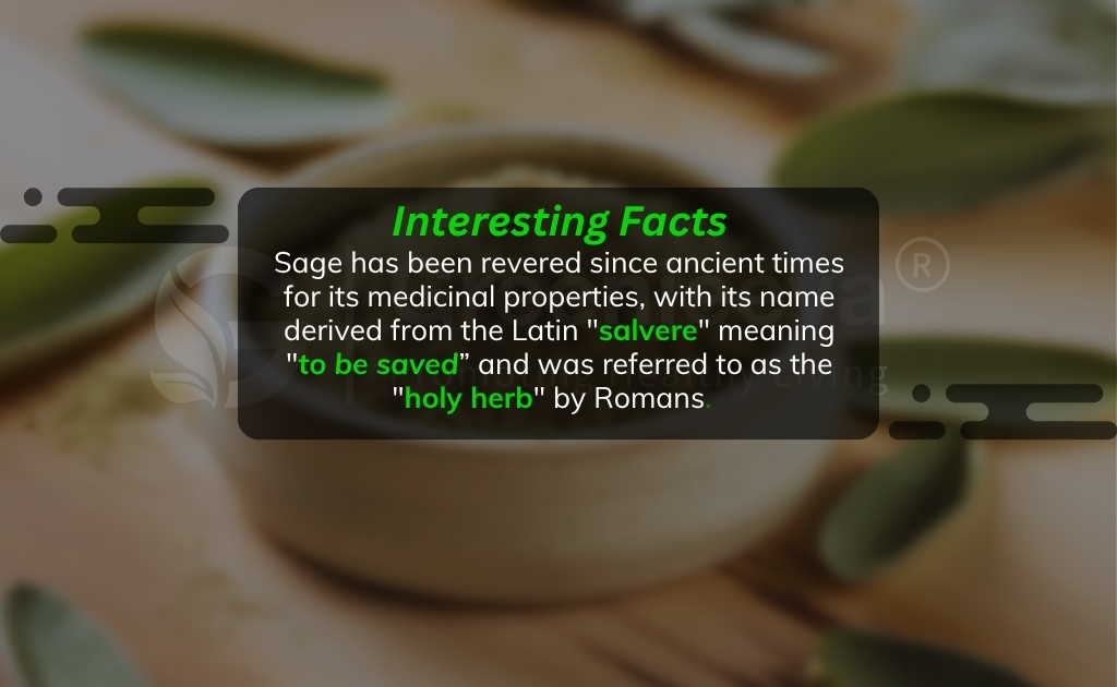 Text overlay about the historical significance of sage, featuring a blurred background of a plate with sage leaves.