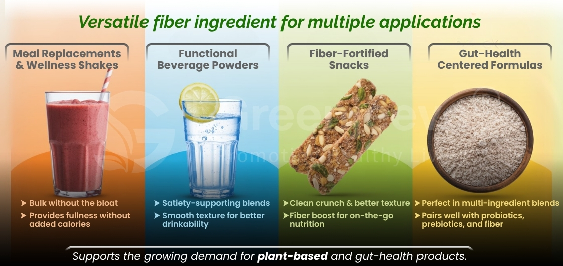 Infographic highlighting versatile fiber applications: meal replacements, beverage powders, fiber snacks, and gut-health formulas.