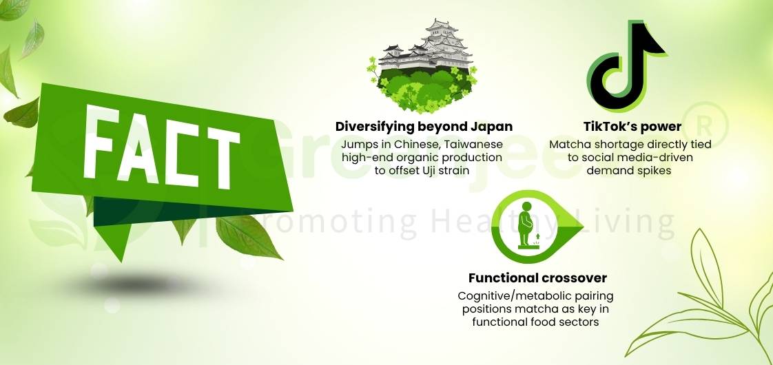 Graphic highlighting the impact of TikTok on matcha demand, with notes on production diversification and health benefits.