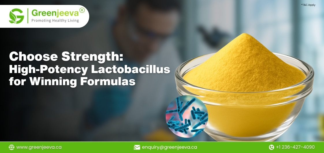 A vibrant yellow powder of high-potency lactobacillus in a glass bowl, promoting healthy living and strength in formulations.