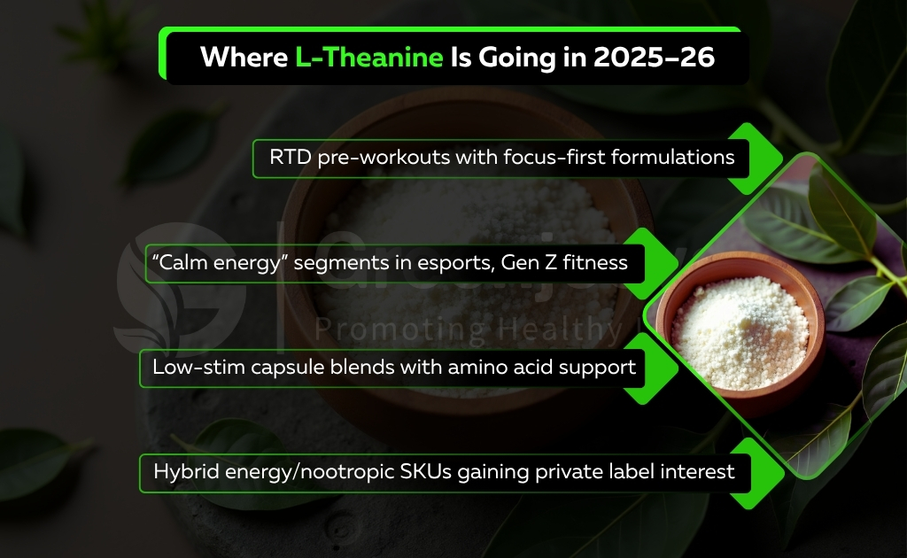 Where L-Theanine Is Going in 2025–26