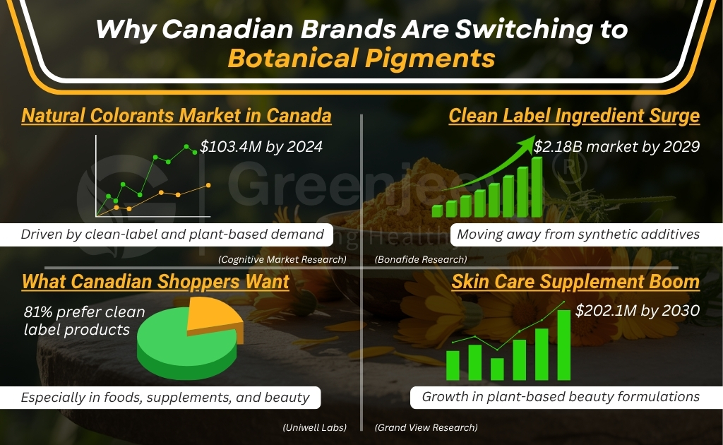 Infographic highlighting Canada's shift to botanical pigments: market growth, consumer preferences for clean labels, and rising demand in cosmetics.