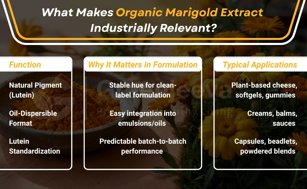 Infographic detailing the functions, formulation benefits, and applications of organic marigold extract in food and cosmetics.