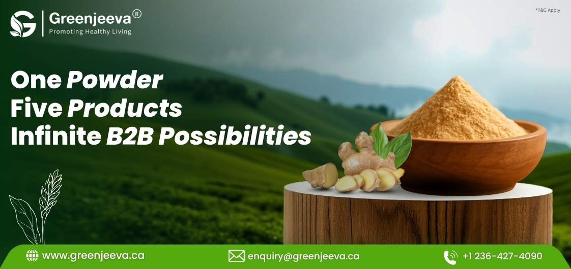 A wooden table displays a bowl of Organic Ginger Root Powder powder and fresh ginger, highlighting B2B product possibilities by Greenjeeva against a green landscape.