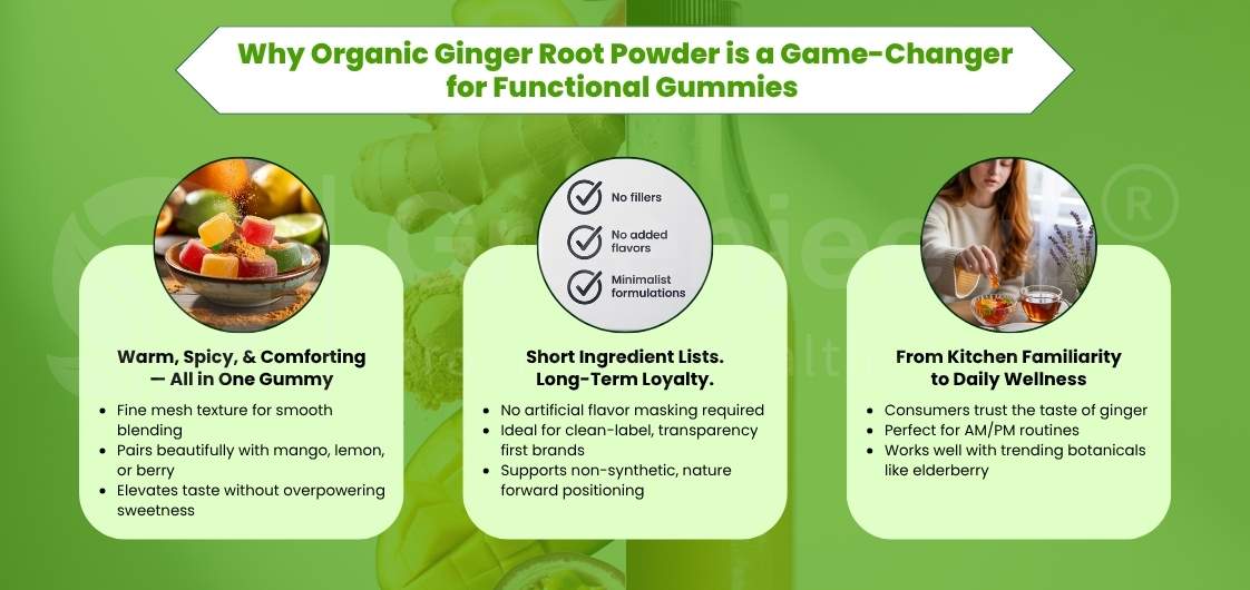 Graphic highlighting the benefits of organic ginger root powder for functional gummies, with colorful gummy illustrations and informative sections.