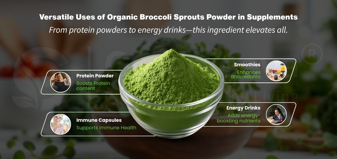 Bowl of organic broccoli sprouts powder highlighting its uses in protein powders, immune capsules, smoothies, and energy drinks.