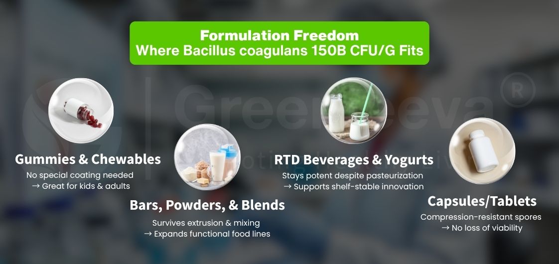 Bacillus coagulans, including gummies, bars, beverages, and capsules, emphasizing versatility.