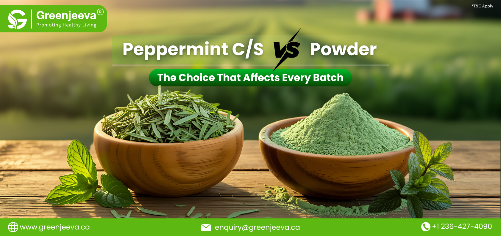 Visual comparison of peppermint CVS versus powder, showcasing variations in form and potential uses.