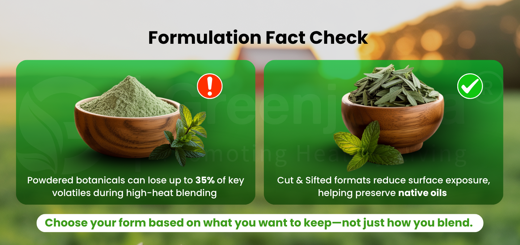 Green weight loss formula highlighting C/S peppermint for better solvent penetration and phytochemical strength.